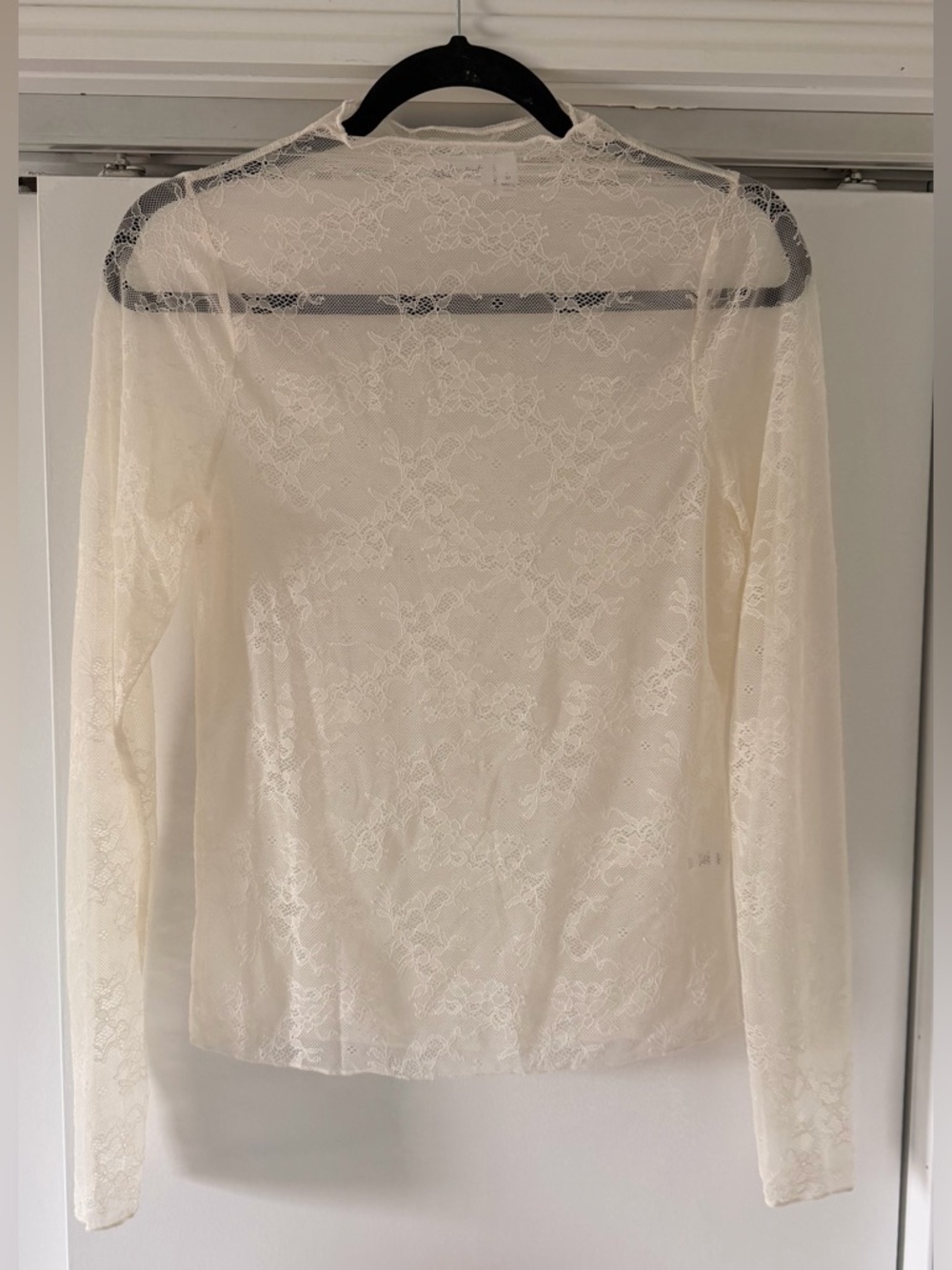 Willow Cream Sheer Lace Long-Sleeve Top